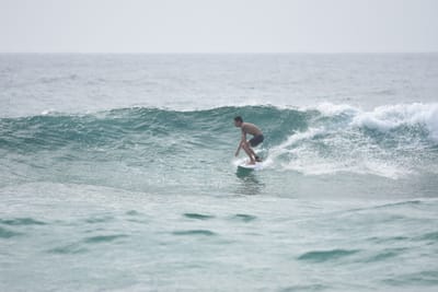 DSC_4501.JPG