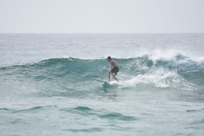 DSC_4502.JPG
