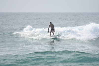 DSC_4511.JPG