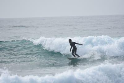 DSC_4522.JPG