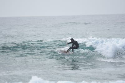 DSC_4524.JPG
