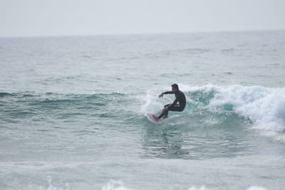 DSC_4525.JPG