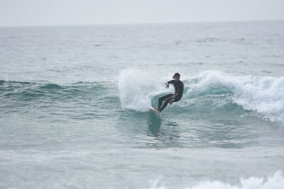 DSC_4526.JPG