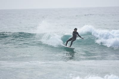 DSC_4527.JPG