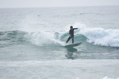 DSC_4528.JPG