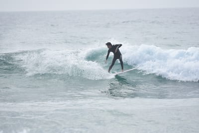 DSC_4529.JPG