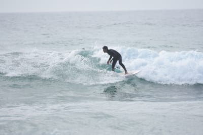 DSC_4530.JPG