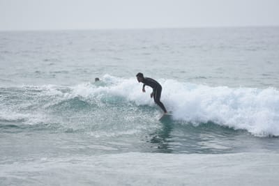 DSC_4531.JPG