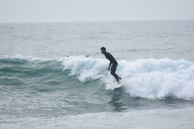 DSC_4533.JPG