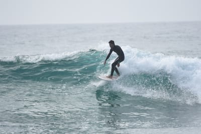 DSC_4535.JPG