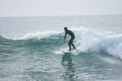 DSC_4536.JPG
