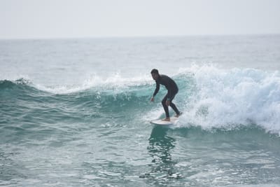 DSC_4537.JPG