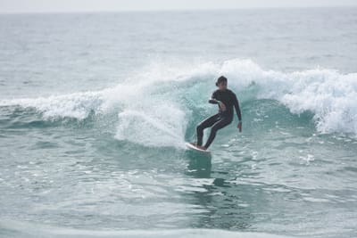 DSC_4541.JPG