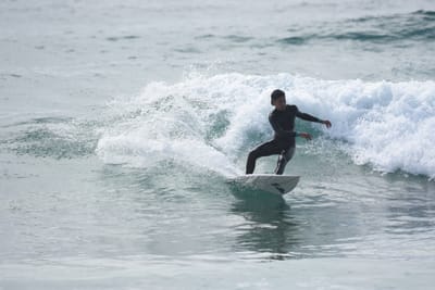 DSC_4627.JPG