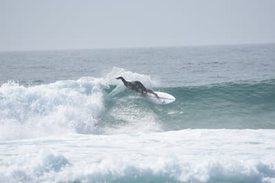 DSC_4667.JPG