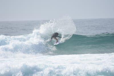 DSC_4669.JPG