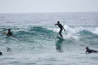 DSC_4771.JPG