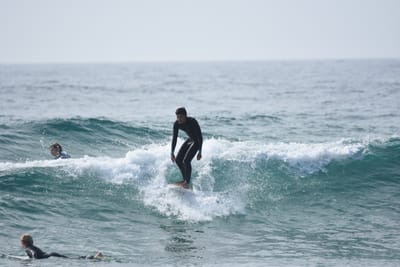 DSC_4774.JPG