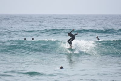 DSC_4854.JPG