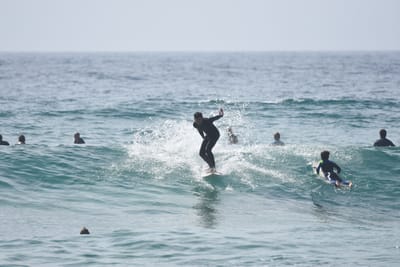 DSC_4855.JPG