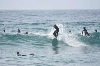 DSC_4856.JPG