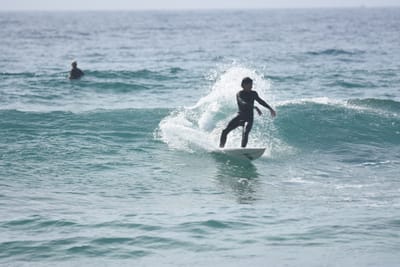 DSC_4857.JPG