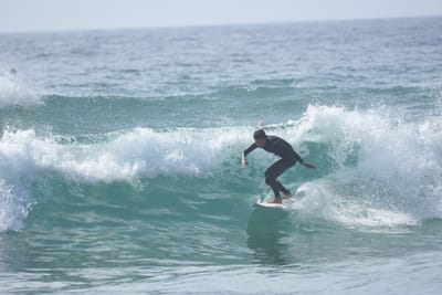 DSC_4882.JPG