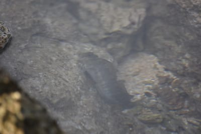 DSC_0409.JPG