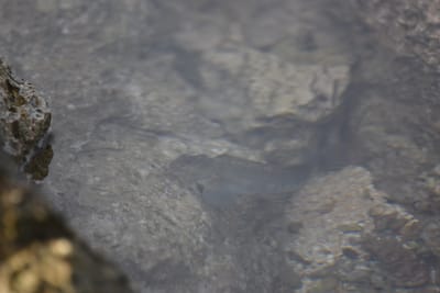 DSC_0410.JPG