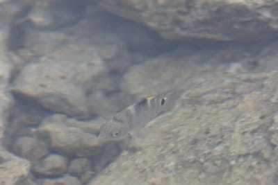 DSC_0428.JPG