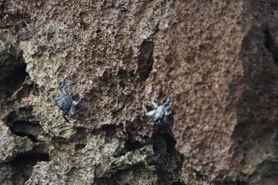 DSC_0440.JPG