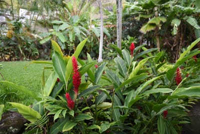 DSC_1717.JPG