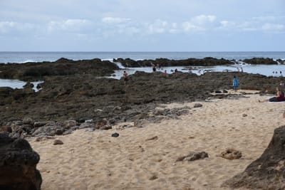 DSC_2651.JPG