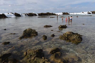 DSC_2655.JPG