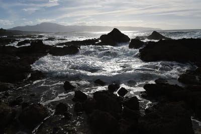 DSC_2676.JPG