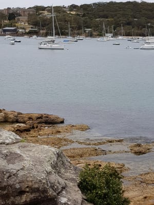 20170930_102312.jpg