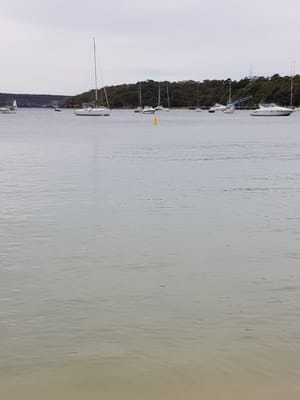 20170930_102912.jpg