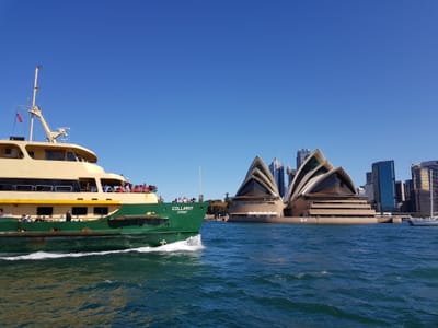 20170917_141025.jpg