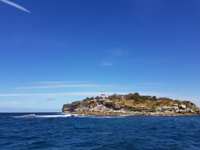 20171007_132113.jpg