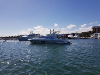 20171112_154234.jpg