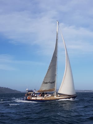 20171201_173953.jpg