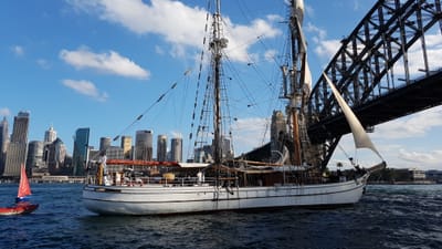 20170430_150954.jpg