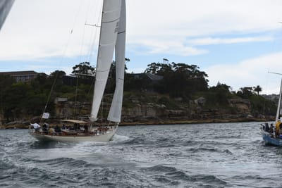 DSC_1585 - Copy.JPG