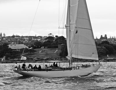 DSC_1590 bw 2.jpg