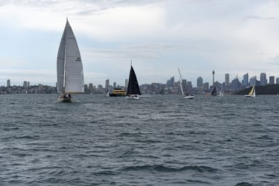DSC_1600.JPG