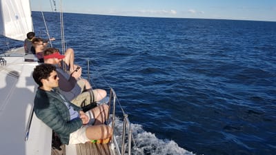 20170707_152148.jpg