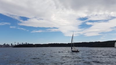 20170730_120818.jpg