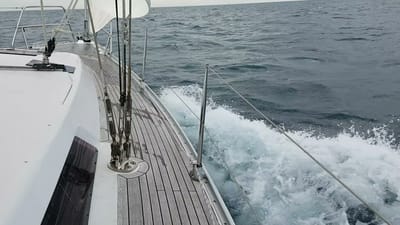 20170730_123821.mp4