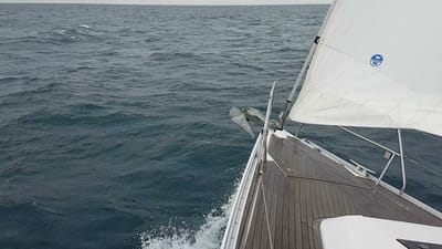 20170730_124052.mp4