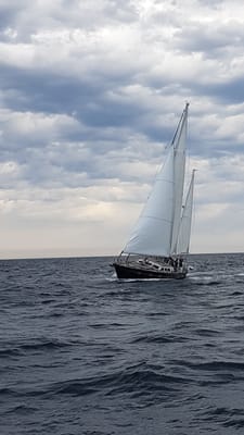 20170730_130525.jpg